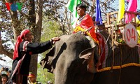 ブオンドンの象祭り