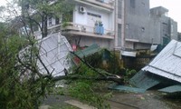台風2号で、4人が死亡