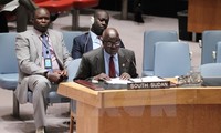 国連、南スーダン制裁決議採択 