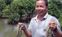  マングローブの栽培と魚介類の養殖を組み合わせた生産様式