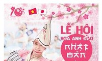 ハノイの桜祭り始まる