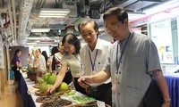 ＵＮDＰ グリーン・イニシアチブをベトナムで広げる