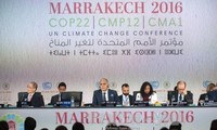 パリ協定を具体化させるCOP22