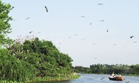 ハイズオン省にあるサギの島