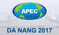 ダナン、APEC２０１７の準備作業を促進