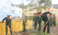 全国各地で、植樹活動が活発に