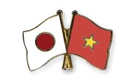 ビンロン省、日越国交樹立記念日を祝う