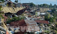 ベトナム、インドネシア地震克服に緊急支援