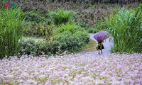 おしゃべりタイム(10月18日)