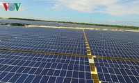 テイグエン地方、太陽光発電の潜在力を活用