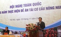 Xây dựng nền nông nghiệp hiện đại, cạnh tranh quốc tế và thích ứng với biến đổi khí hậu