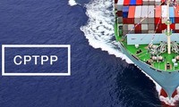 太平洋地域諸国を結び付けるCPTPP