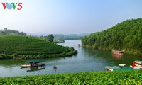 魅力的な目的地となったタインチュオン「お茶の島」