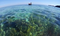 ダナン市で、「海と島の週間」を発動