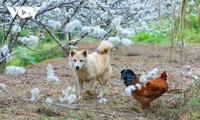 おしゃべりタイム（2月17日）