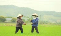 クアンニン省ビンケ村に住む幸せな農民たち