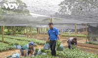 山間部の故郷を緑化したい意欲のあるモン族の青年