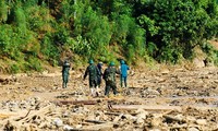 各国、国際組織 ベトナムでの台風被害克服を支援