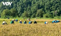 豊かな村の構築に励む少数民族リュック族の人々