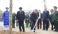 全国各地における植樹運動