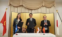 UNDPと日本、ベトナムにおけるイノベーションエコシステムの推進に向けて協力