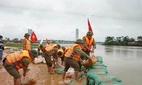 Deputi PM menuntut semua daerah dengan proaktif menghadapi bencana alam