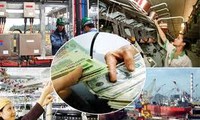 Berbagi pengalaman Eropa dan Vietnam tentang restrukturisasi perekonomian.