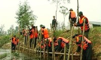 Lokakarya tentang proyek Undang-Undang mencegah, menghindari dan memitigasikan bencana alam.