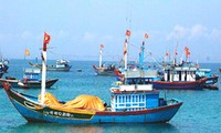 Provinsi Quang Tri mengembangkan tim kapal penangkap ikan di lapangan ikan kepulauan Hoang Sa (kepulauan Paracel)