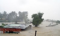 Menyusun kebijakan bantuan kepada  badan usaha untuk menghadapi resiko bencana alam