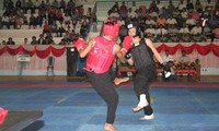 Malam silat  tradisional Vietnam di Swiss.