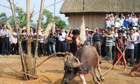 Pesta -pesta tradisional dari rakyat etnis minoritas Brau