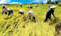 Restrukturisasi  pertanian menurut arah meningkatkan nilai pertambahan.