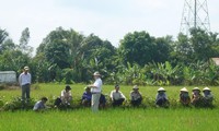 Memperingati ultah ke-33  Hari Pangan Dunia