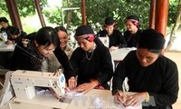 Federasi  Wanita Vietnam meningkatkan kualitas  aktivitas pada tahun 2014