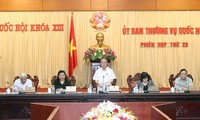 Komite Tetap MN Vietnam  membahas RUU tentang Organisasi MN (amandemen)