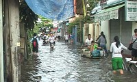 Vietnam memperkuat kerjasama internasional  untuk  menghadapi  perubahan iklim