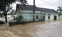 Jepang membantu Provinsi Thua Thien-Hue membangun masyarakat sesuai dengan alam