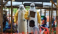 PBB  berkomitmen akan   memainkan peranan kuat dalam upaya memadamkan wabah Ebola