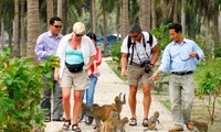 Wisatawan  yang datang ke Vietnam Tengah meningkat tinggi  sehubungan dengan Hari Nasional (2 September).