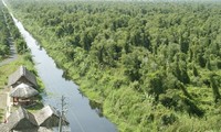 Menemukan banyak satwa langka di hutan U Minh Ha, provinsi Ca Mau