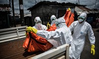 WHO  memprediksi jumlah orang yang kejangkitan virus Ebola akan  turun drastis pada awal  tahun mendatang.