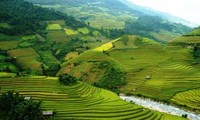 Muong Hoa-Lembah  yang eksotis di kota madya Sa Pa, provinsi Lao Ca