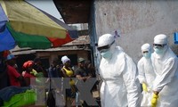 WHO berseru kepada dunia internasional membantu usaha menanggulangi wabah Ebola