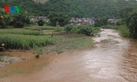 Daerah-daerah di Vietnam Utara  berupaya mencegah dan menanggulangi hujan dan banjir.