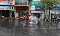 Orientasi mengembangkan daerah dataran rendah sungai Mekong untuk menghadapi perubahan iklim