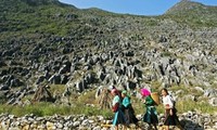 Membangun dan mengembangkan Daerah Dataran Tinggi Batu  Dong Van menjadi destinasi nasional dan  internasional