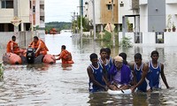 Vietnam bersama-sama dengan komunitas internasional  menanggulangi perubahan iklim