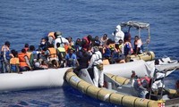 Mesir menangkap puluhan migran yang berupaya menerobos perbatasan pergi ke Italia