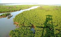 Taman Nasional Xuan Thuy -  Bumi baik tempat  burung  suka  bertengger